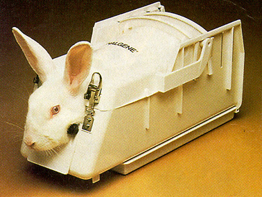 Nalgene Rabbit